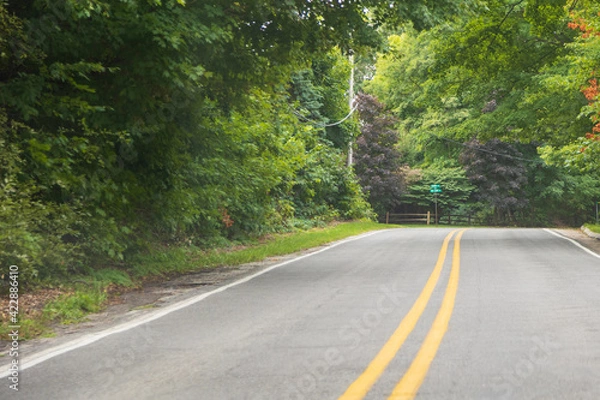 Obraz road in the forest