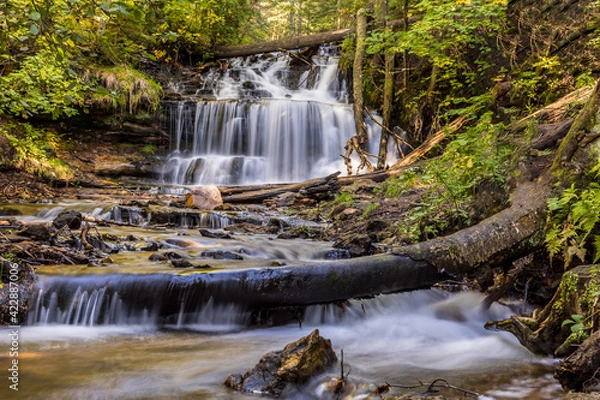 Obraz waterfall in the woods