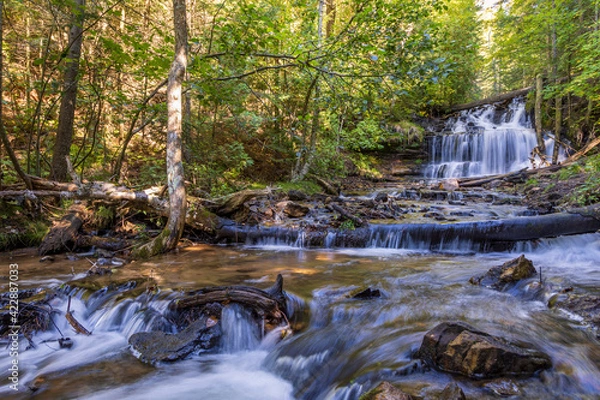 Obraz waterfall in the forest