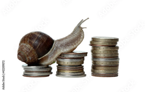 Obraz snail scrambles coins