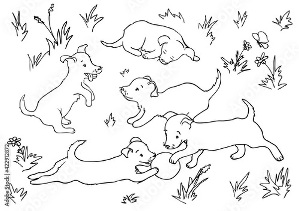 Fototapeta Vector coloring page with five puppies playing on the grass