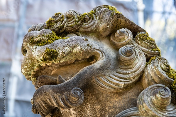 Obraz 代々木八幡宮　狛犬