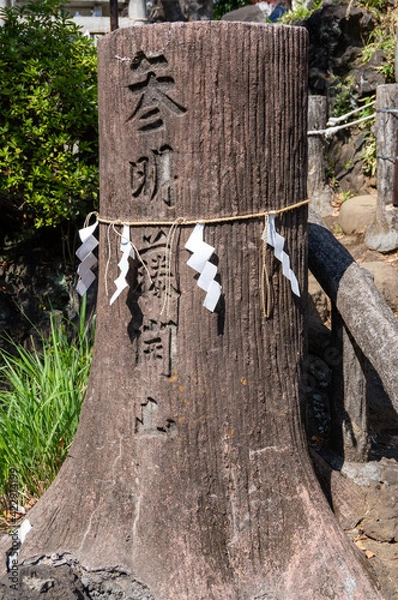 Obraz 鳩森八幡神社　富士塚