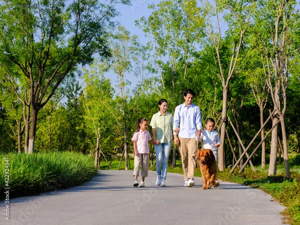 Obraz Happy family of four walking dogs in the park