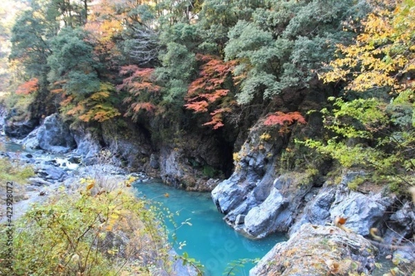 Fototapeta 紅葉の渓谷
