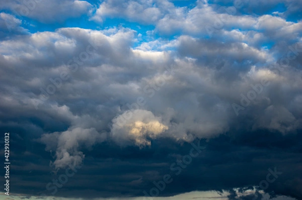 Obraz Cumulus clouds in a blue sky.