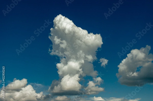 Obraz Cumulus clouds in a blue sky.