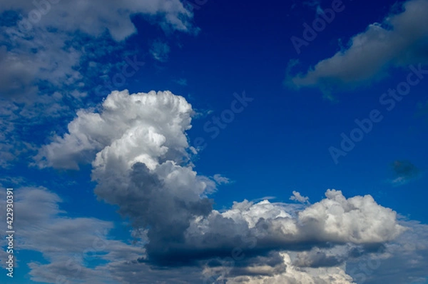 Obraz Cumulus clouds in a blue sky.