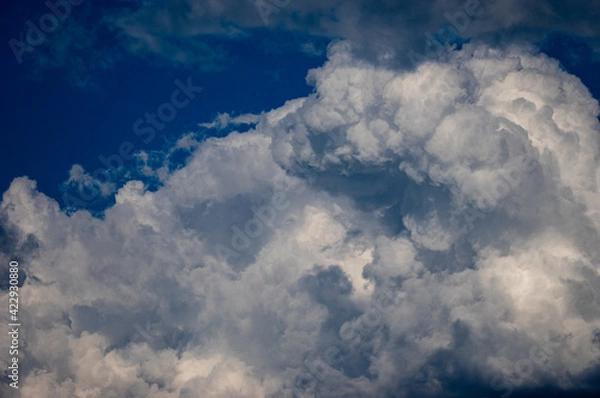 Obraz Cumulus clouds in a blue sky.