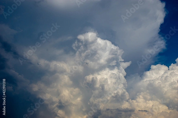 Obraz Cumulus clouds in a blue sky.