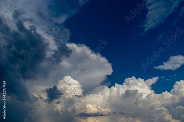 Obraz Cumulus clouds in a blue sky.
