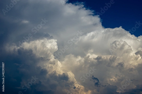 Obraz Cumulus clouds in a blue sky.