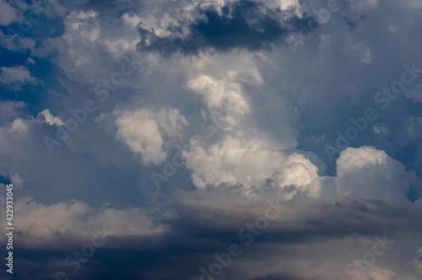 Obraz Cumulus clouds in a blue sky.