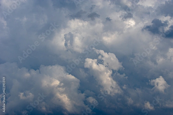 Obraz Cumulus clouds in a blue sky.