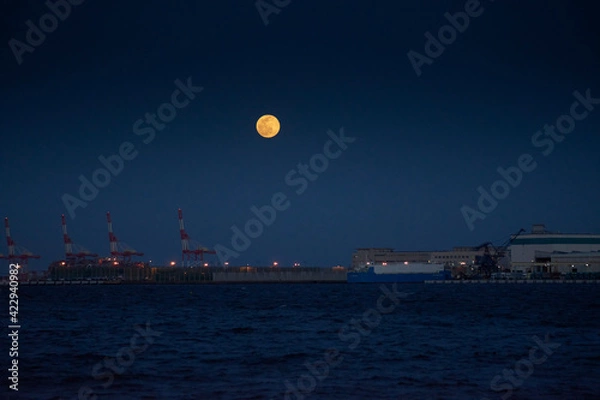 Obraz 工場の夜景