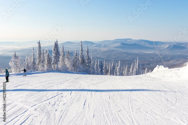 Fototapeta ski trail with snowy mountains and trees are covered with white fluffy snow in sunny day