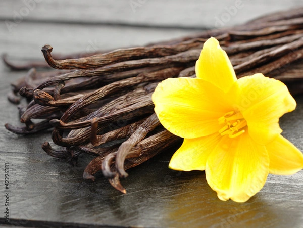 Obraz Shoty waniliowe