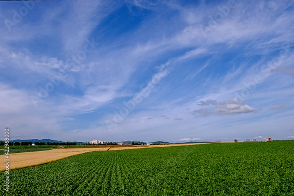 Obraz 秋の北見市端野町の風景
