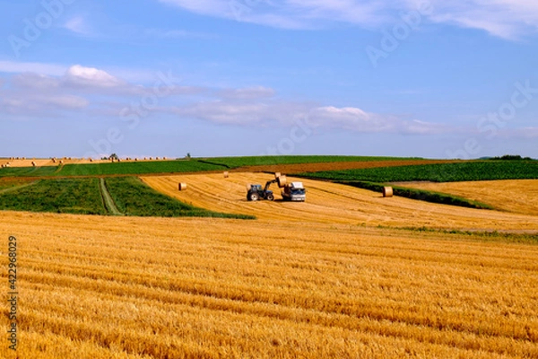 Obraz 秋の北見市端野町の風景
