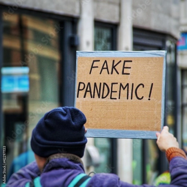 Obraz Fake Pandemic
