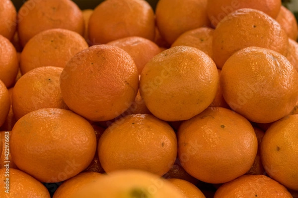 Obraz Orangen