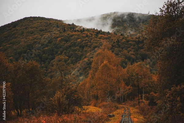 Obraz Bieszczady jesienią