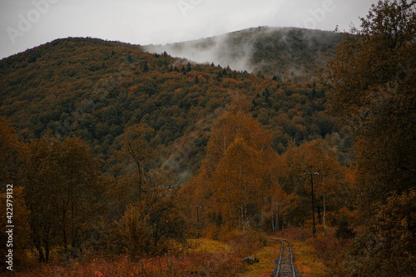 Obraz Bieszczady jesienią 