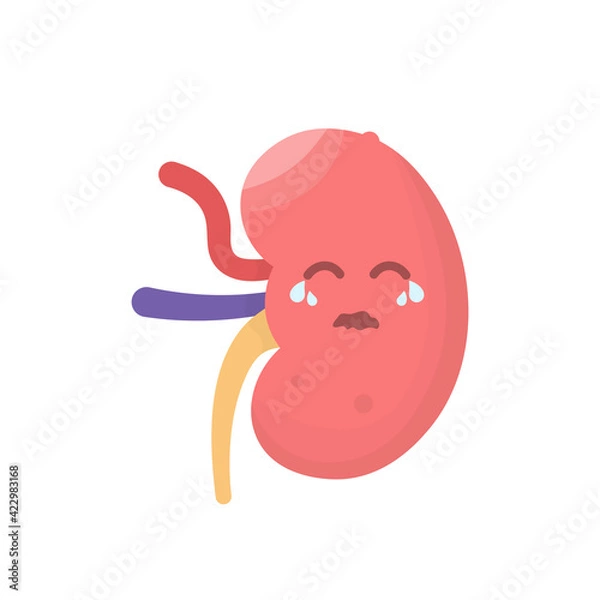 Fototapeta expression of a crying or sad kidney. the concept of an unhealthy kidney or having kidney disease. kidney failure. illustration of the problematic internal organs. flat style. design vector