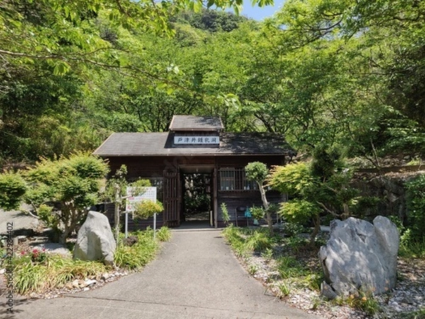 Fototapeta 洞窟入り口