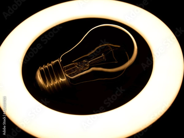 Fototapeta Incandescent lamp inside LED ring light source Concept photography, the light takes the form of an incandescent lamp