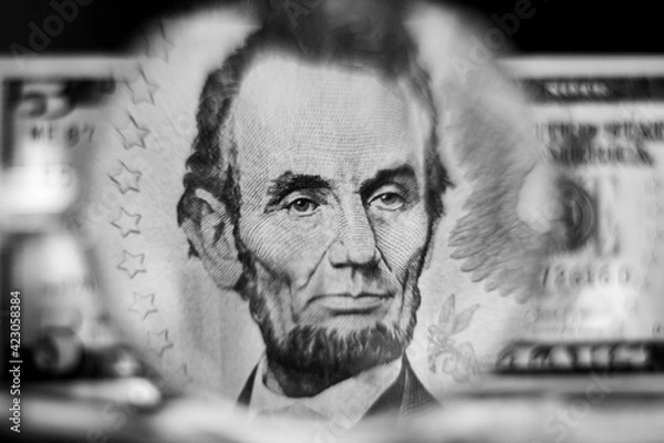 Obraz Five dollar bill seen through a magnifying glass