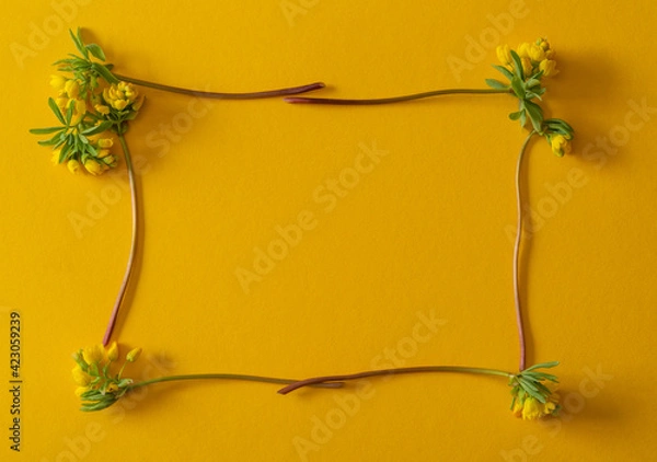 Obraz This is an idea for a spring postcard. Small yellow flowers are on a yellow background.