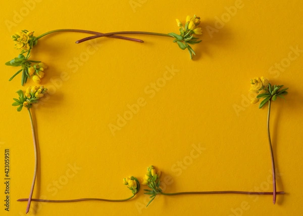 Fototapeta This is a card with yellow flowers for Easter, Birthday or Mother's Day.