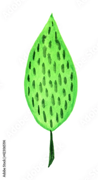 Fototapeta Watercolor illustration of an abstract green leaf with dots. The element is isolated on a white background.