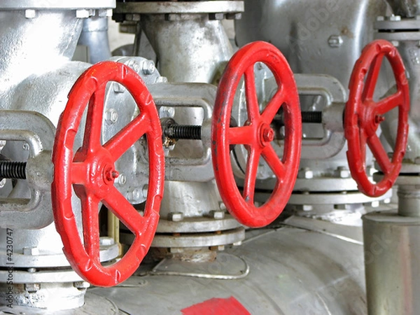Obraz valves
