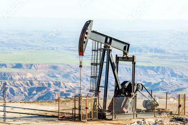 Fototapeta View of the pumpjack in the oil well. A pump jack is a device used in the petroleum industry to extract crude oil from an oilfield.