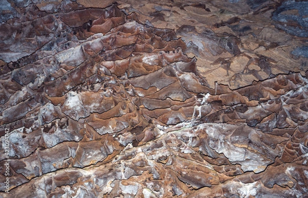 Obraz Rock forms in the Wind Cave, South Dakota