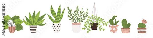 Obraz Colorful set of houseplants in pot. Vector illustrations of Indoor plants in flowerpot collection. Flowers and cactus in pot in flat cartoon style. Isolated on white background.