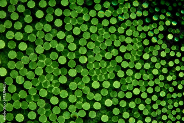 Obraz abstract green background