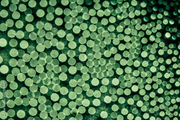 Obraz abstract green background