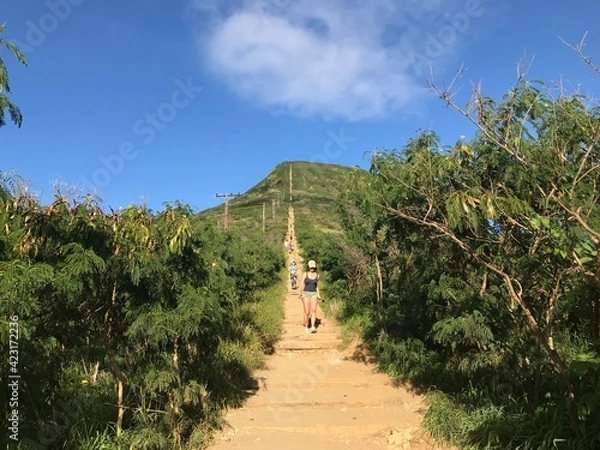 Obraz path to the beach