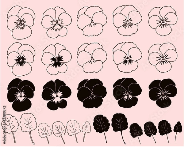 Fototapeta パンジー_ビオラ01-線画