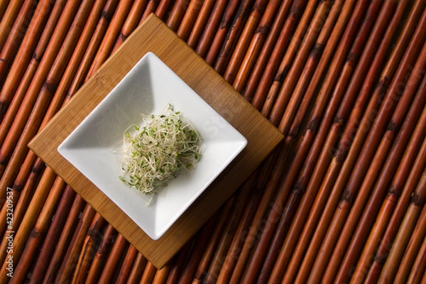 Obraz Alfalfa sprouts in a square white dish on bamboo