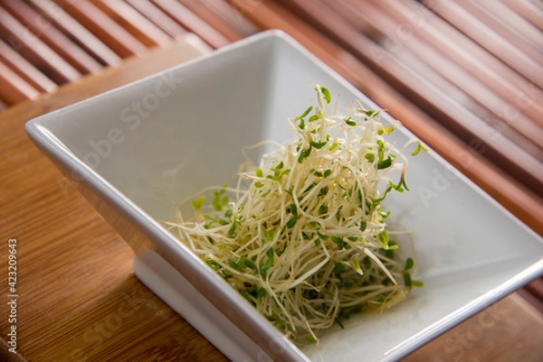 Obraz Alfalfa sprouts in a square white dish on bamboo