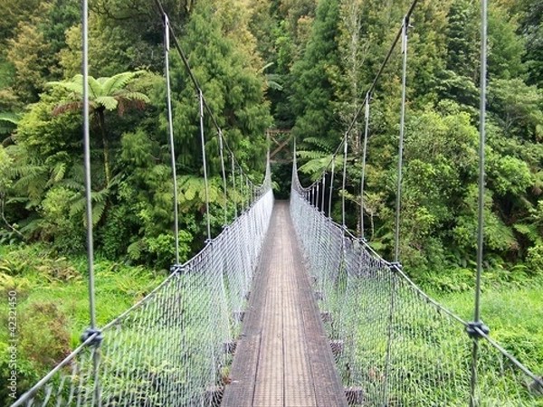Obraz Water and countryside