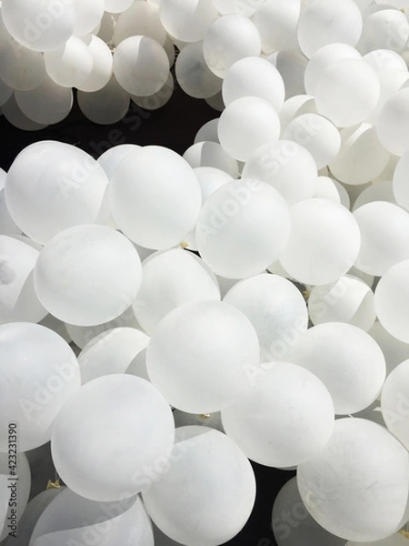 Obraz white balloons