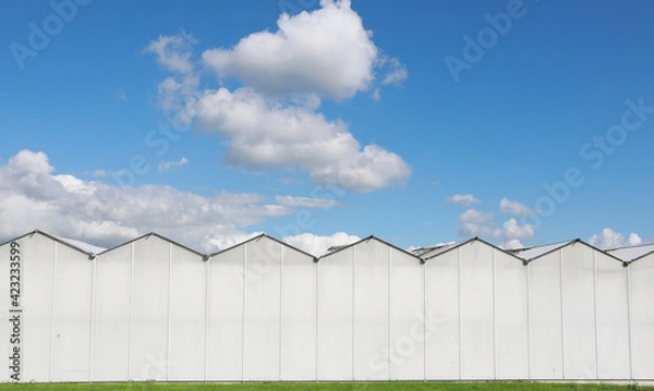 Obraz greenhouses
