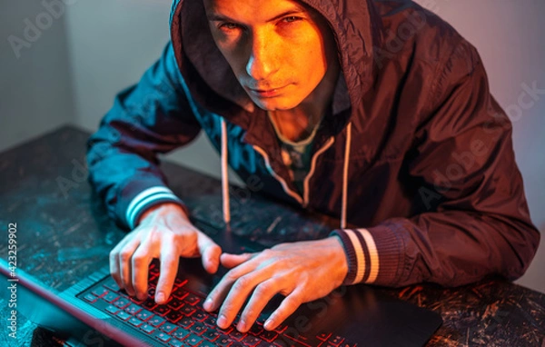 Fototapeta Hooded hacker is typing on a laptop keyboard in a dark room under a neon light. Cybercrime fraud and identity theft
