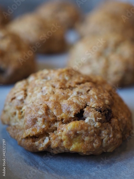 Obraz homemade cookies