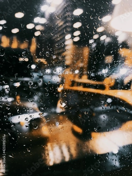 Obraz water drops on the window